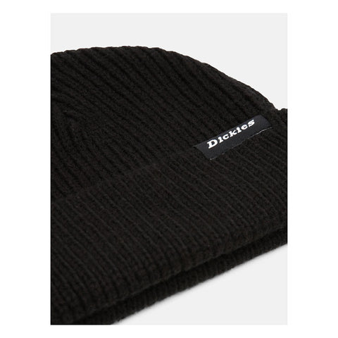 Dickies Woodworth beanie black