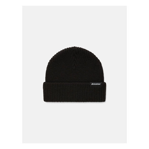 Dickies Woodworth beanie black