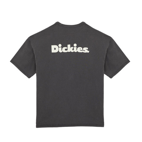 Dickies Slayden GD t-shirt black