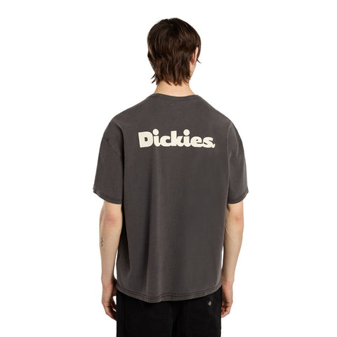 Dickies Slayden GD t-shirt black