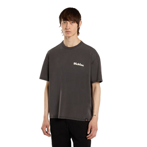 Dickies Slayden GD t-shirt black
