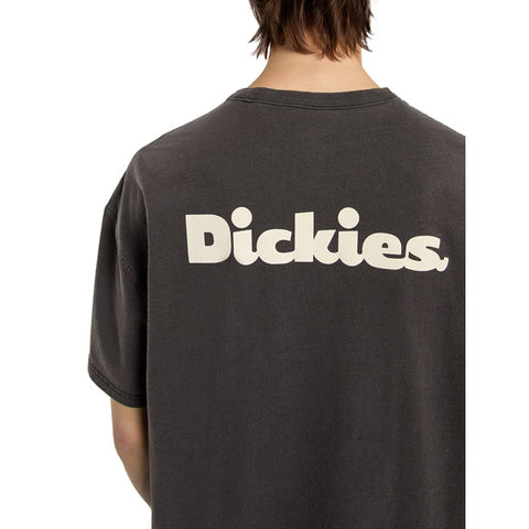 Dickies Slayden GD t-shirt black