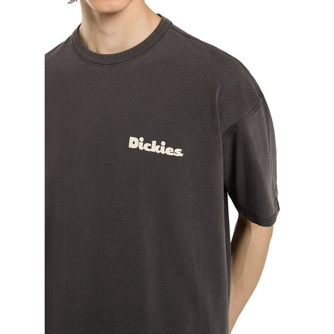 Dickies Slayden GD t-shirt black