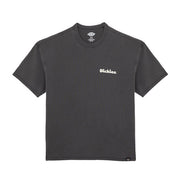 Dickies Slayden GD t-shirt black