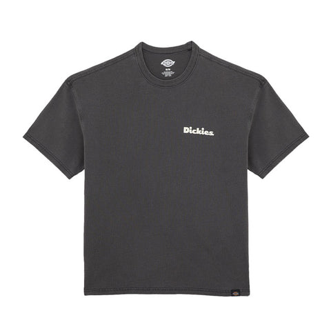 Dickies Slayden GD t-shirt black