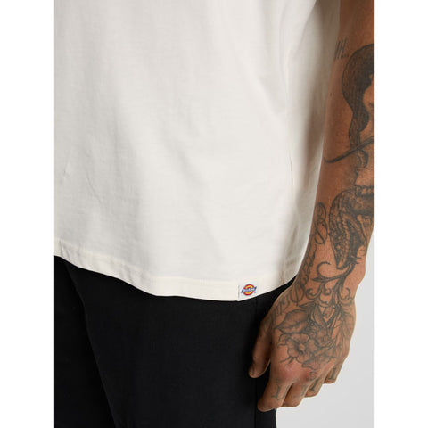 Dickies Sneedville t-shirt beige