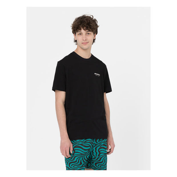 Dickies Leesburg box t-shirt black