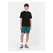 Dickies Leesburg box t-shirt black