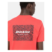 Dickies Leesburg box t-shirt bittersweet