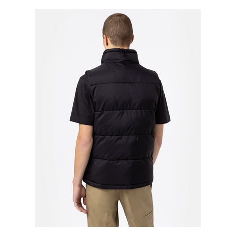 Dickies Waldenburg vest black