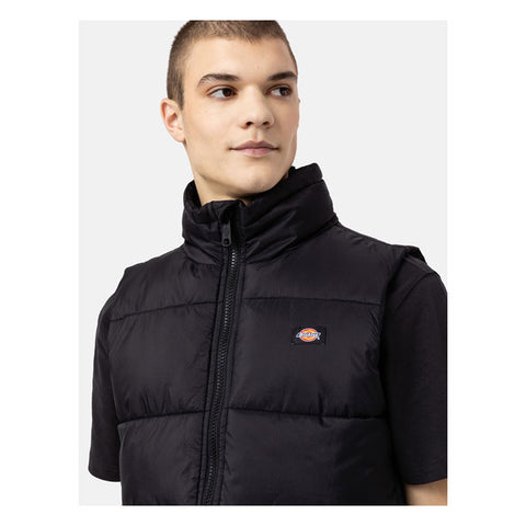 Dickies Waldenburg vest black