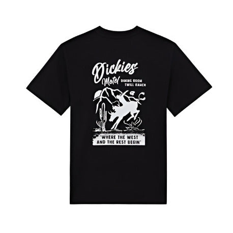 Dickies Dighton t-shirt black