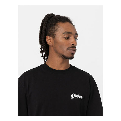 Dickies Dighton t-shirt black