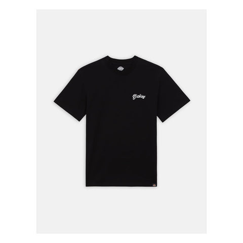 Dickies Dighton t-shirt black