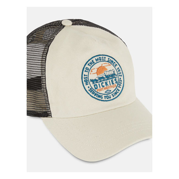 Dickies Greensburg cap whitecap gray