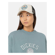 Dickies Greensburg cap whitecap gray