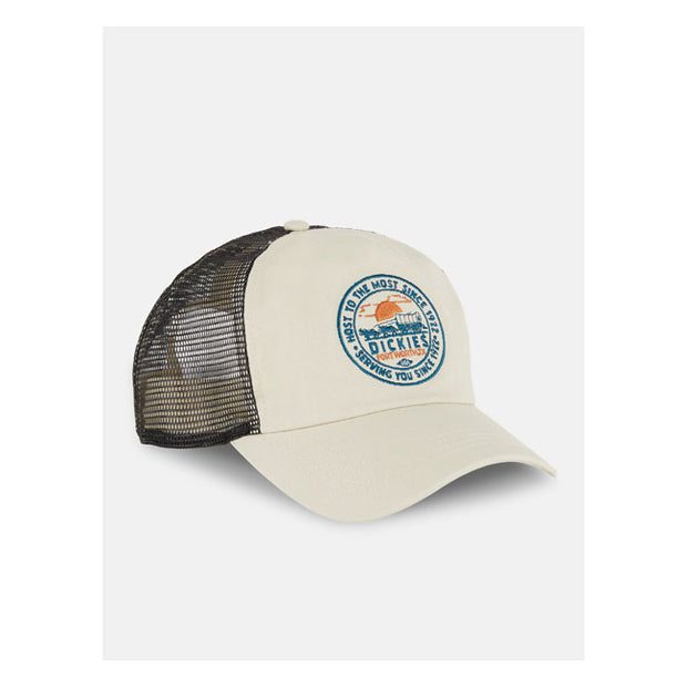 Dickies Greensburg cap whitecap gray
