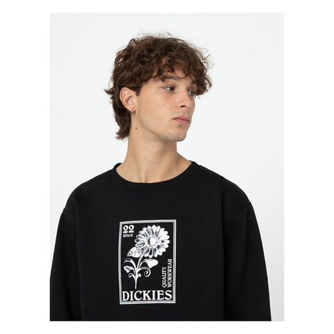 Dickies Garden plain sweatshirt black