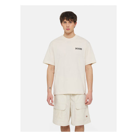 Dickies Beach t-shirt whitecap gray