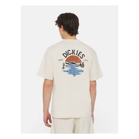 Dickies Beach t-shirt whitecap gray