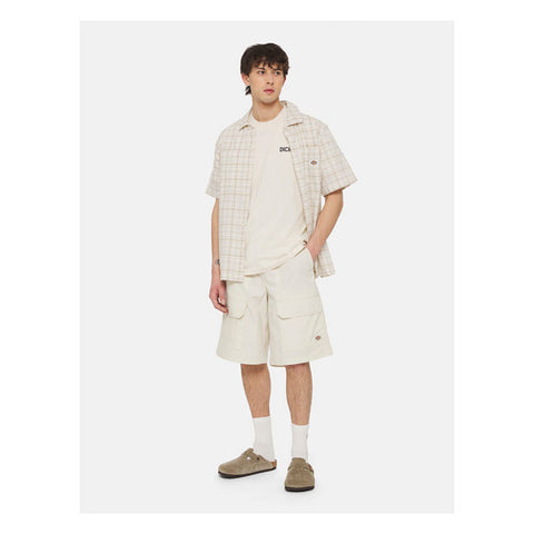 Dickies Beach t-shirt whitecap gray