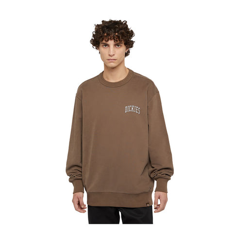 Dickies Aitkin sweatshirt mushroom cloud