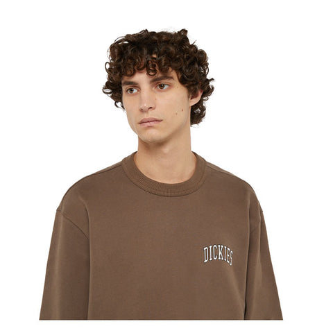 Dickies Aitkin sweatshirt mushroom cloud