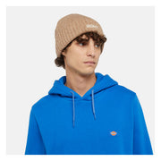 Dickies Harlowtown beanie desert sand