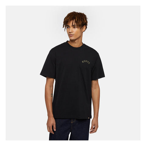 Dickies Panther t-shirt black