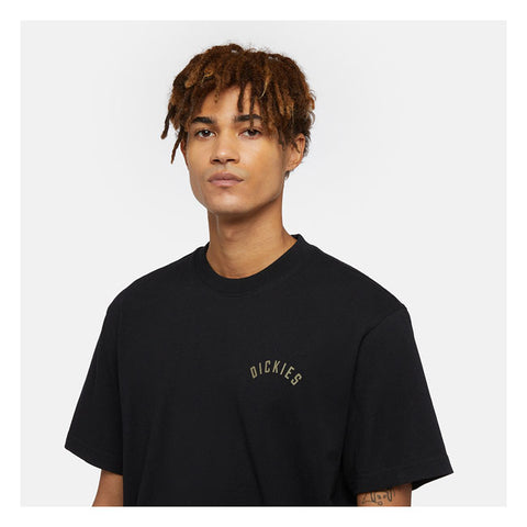 Dickies Panther t-shirt black