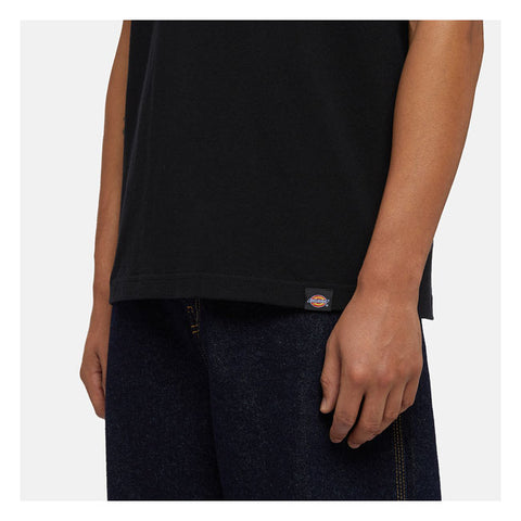 Dickies Panther t-shirt black