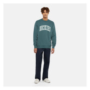 Dickies Aitkin Sweatshirt green/surf Blue