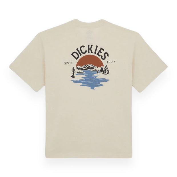 Dickies Beach t-shirt whitecap gray