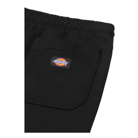 Dickies Champlin short black