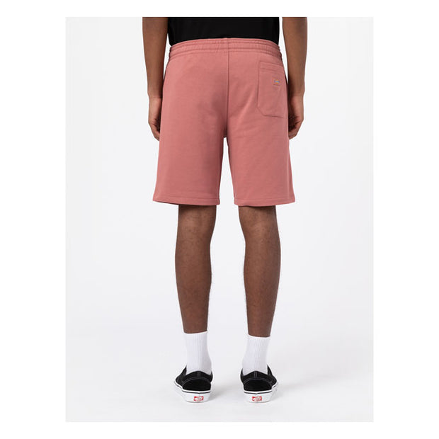 Dickies Champlin shorts withered rose