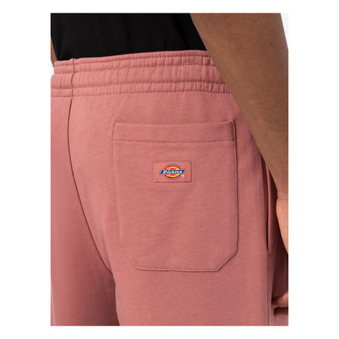 Dickies Champlin shorts withered rose