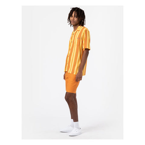 Dickies Lynnwood shirt pale banana