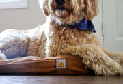 FIRM DUCK INSULATED DOG CHORE COAT