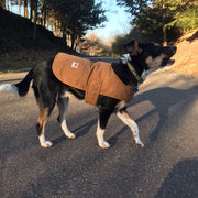 FIRM DUCK INSULATED DOG CHORE COAT